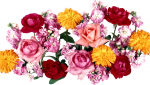 flowers-pink-magenta-chrysanthemums-flower-plant-roses-petal-peony-song-land-plant-flowering-plant-floristry-flower-bouquet-flower-arranging-floral-design-cut-flowers-artificial-flower-717812